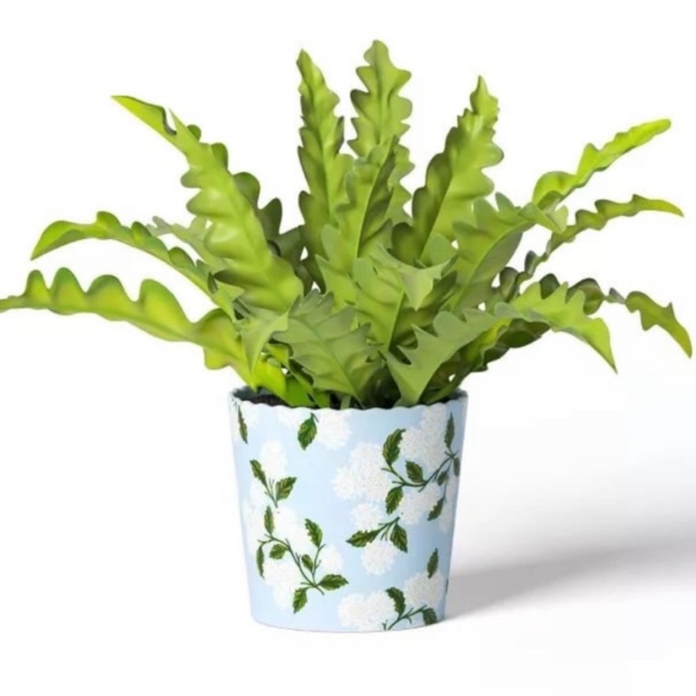 Rifle Paper Co. x Target Small Indoor Planter - Hydrangea
